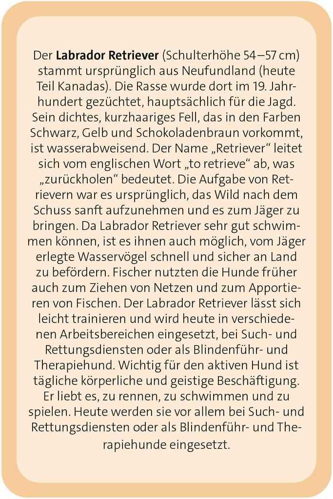 Das große Hund Quiz