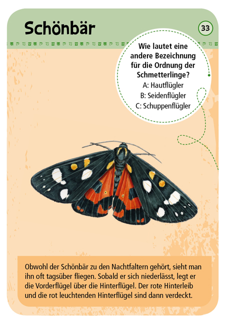 Expedition Natur – 50 heimische Schmetterlinge