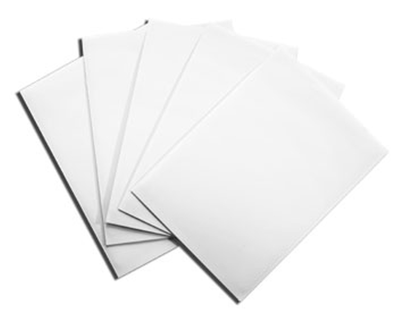 Dragon Shield: White (100)