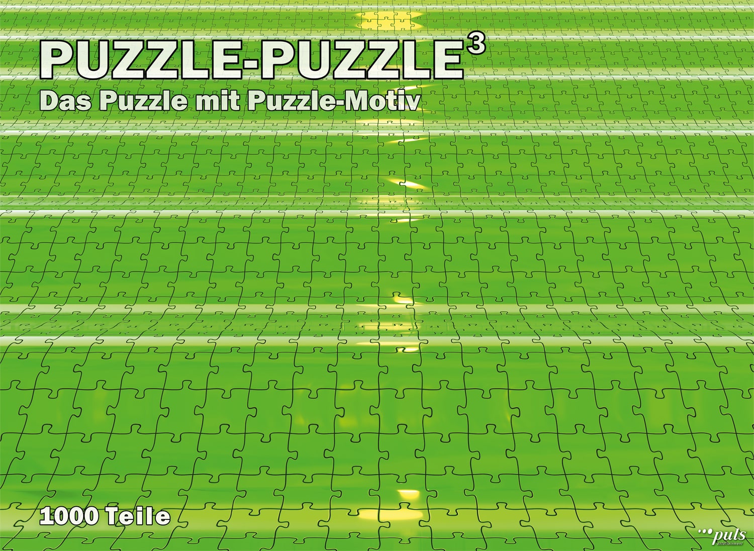 Puzzle: Puzzle³(1000 Teile)