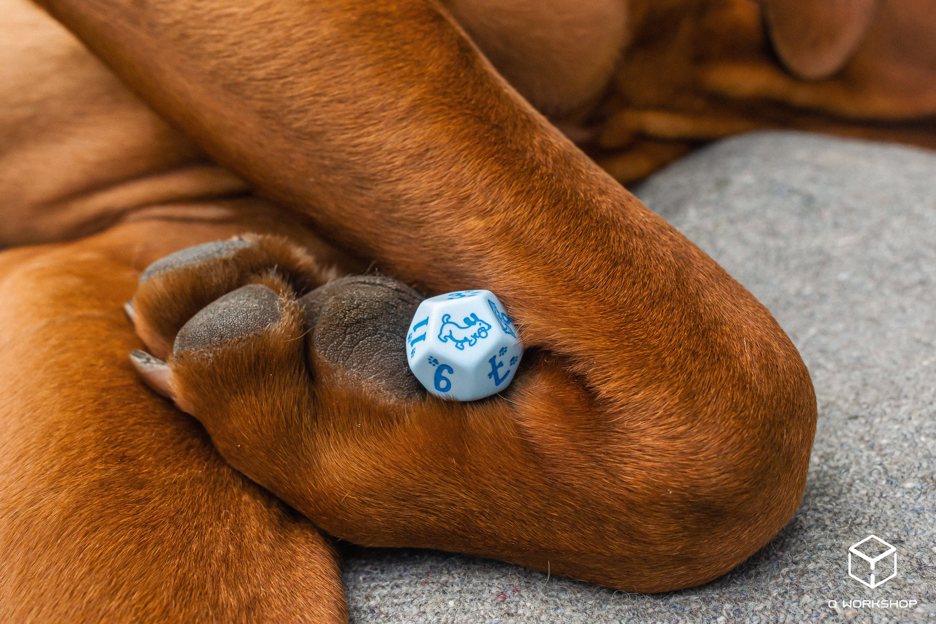 DOGS Dice Set: Max (7)