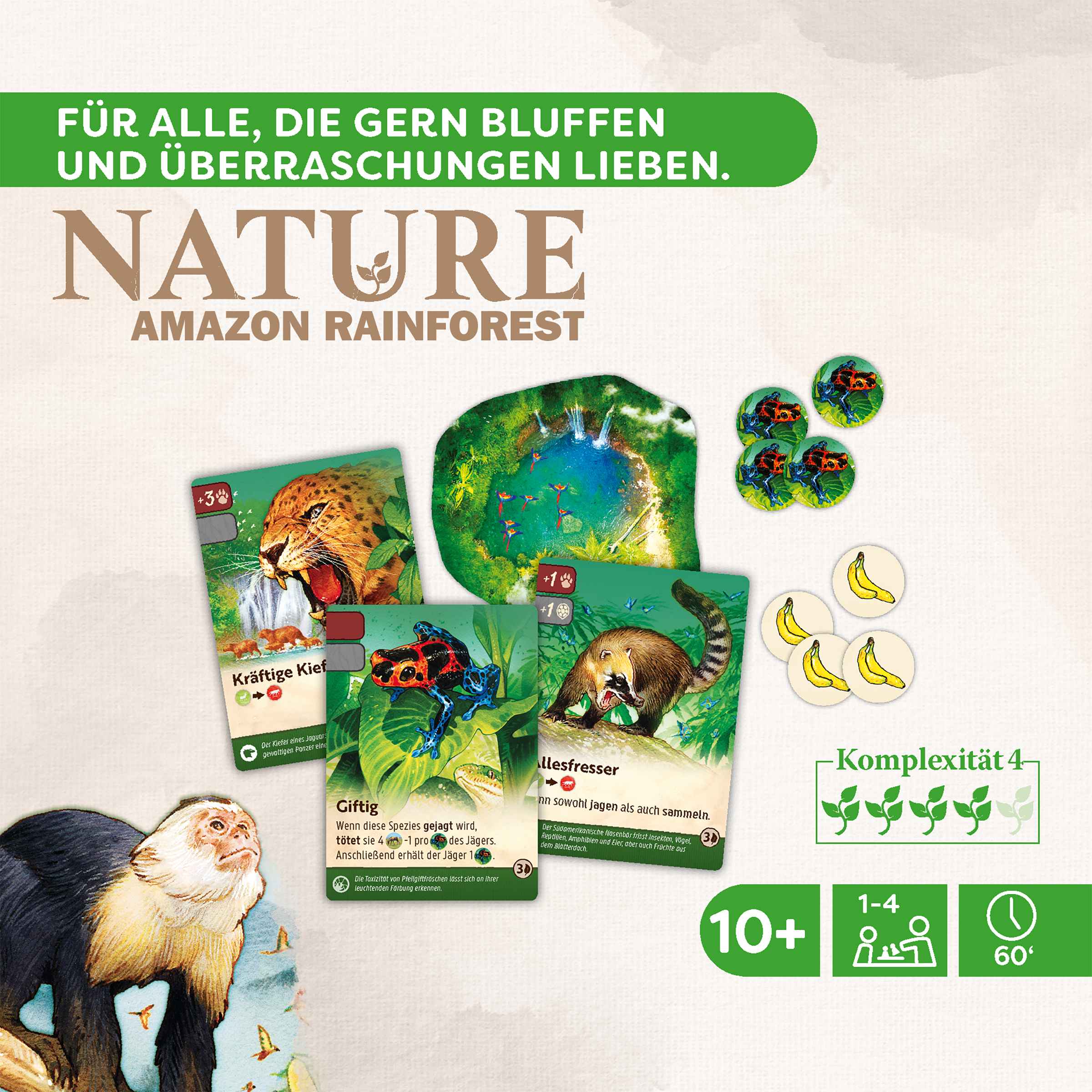Nature Amazon Rainforest