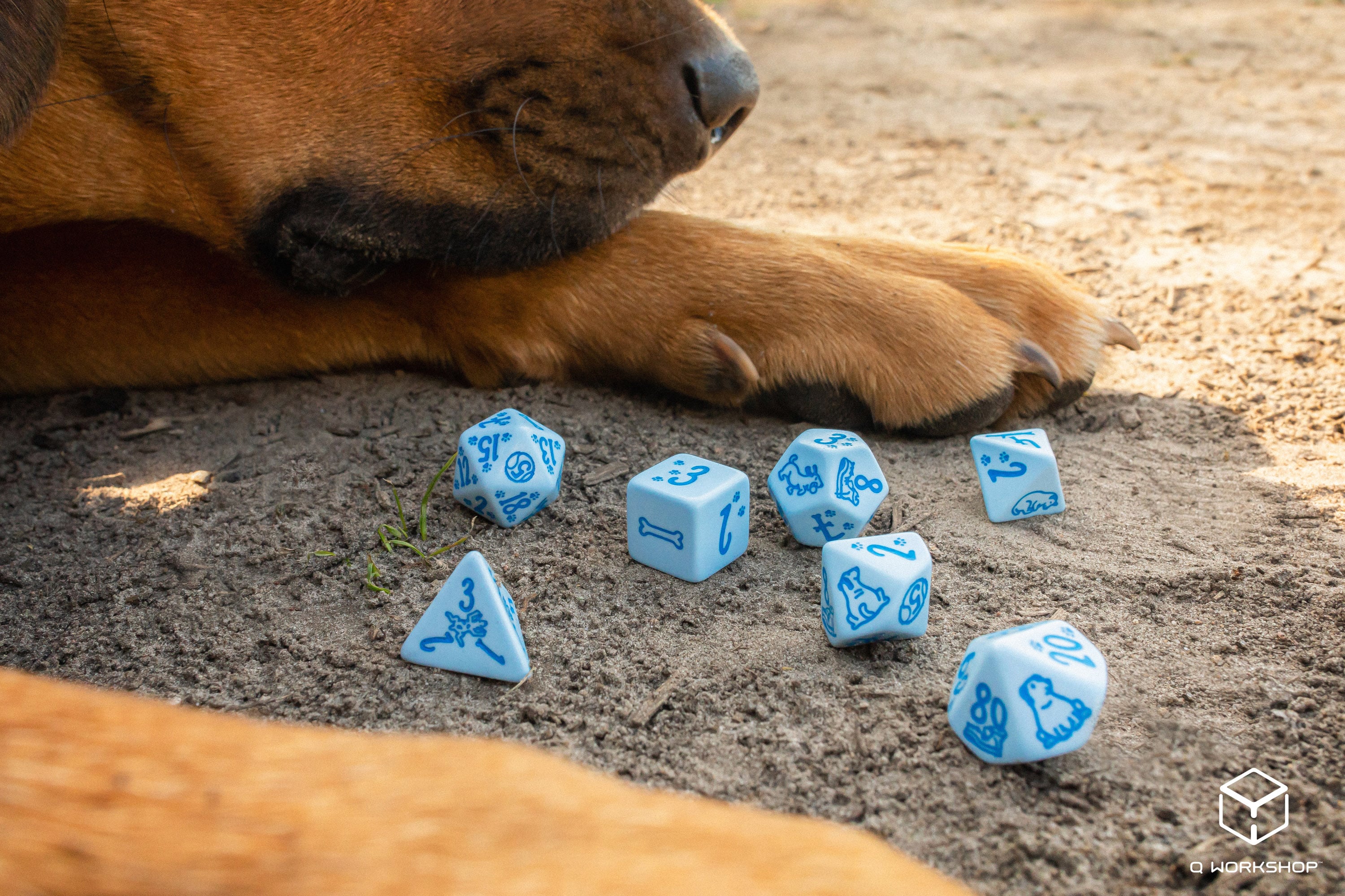 DOGS Dice Set: Max (7)