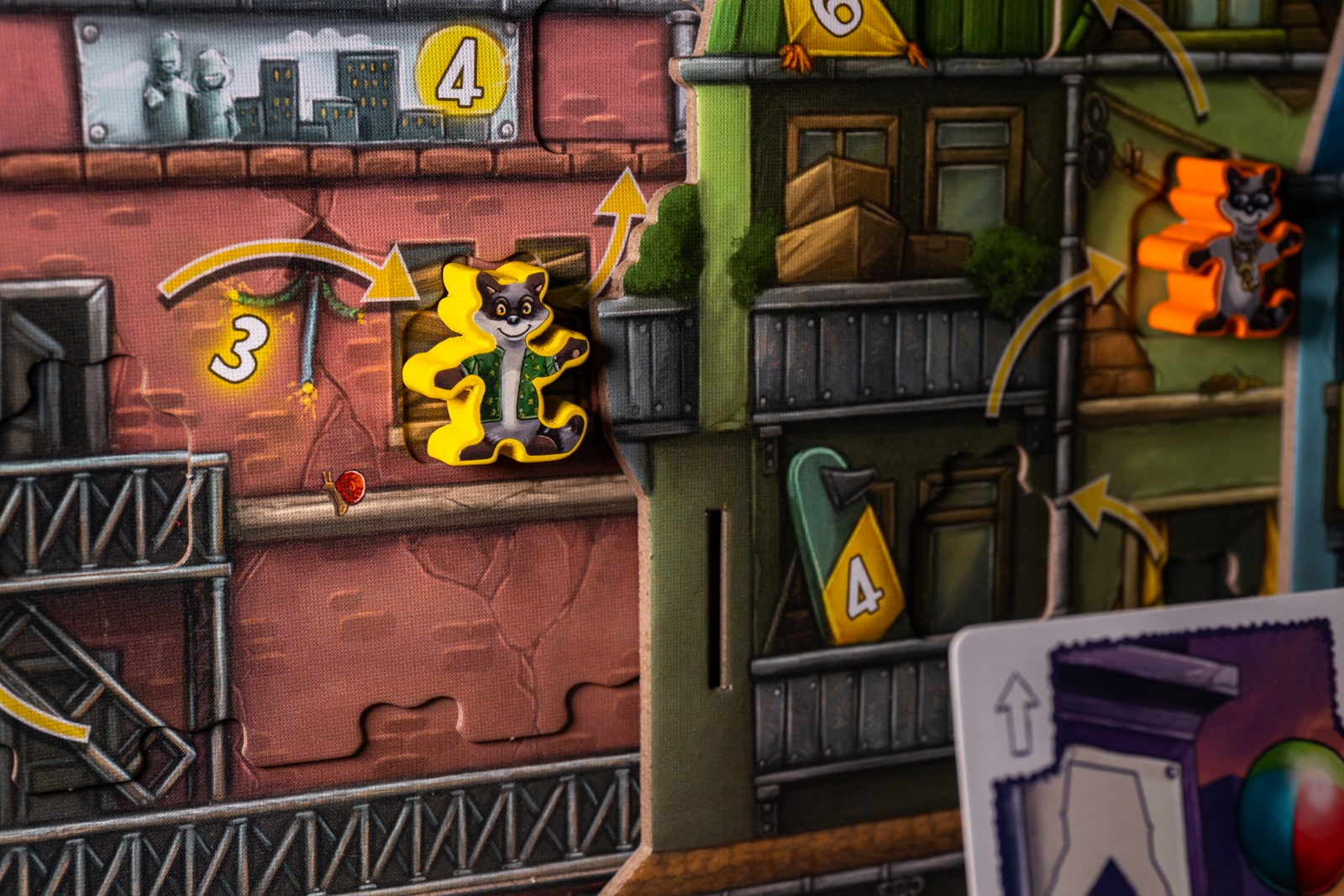 Raccoon Robbers