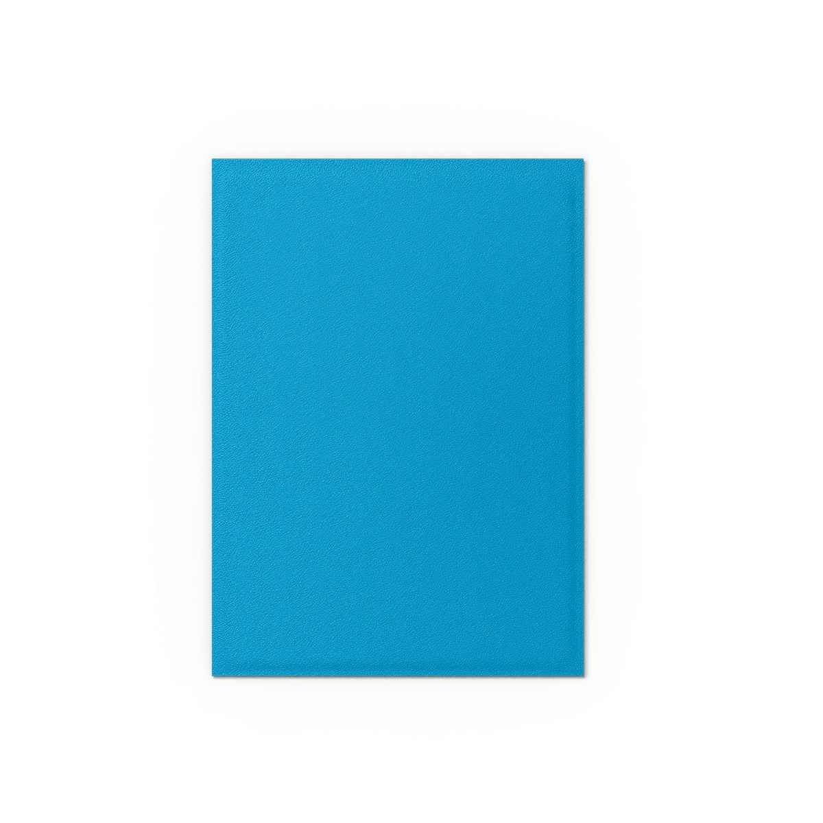 Dragon Shield: Matte – Dual Sky Blue & Silver(100)
