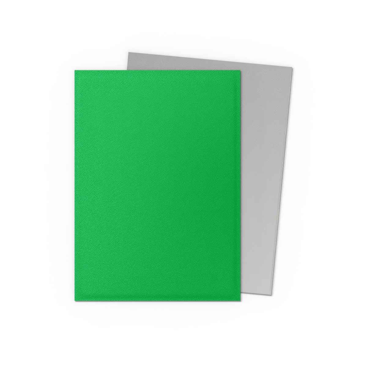 Dragon Shield: Matte – Dual Apple Green & Silver(100)