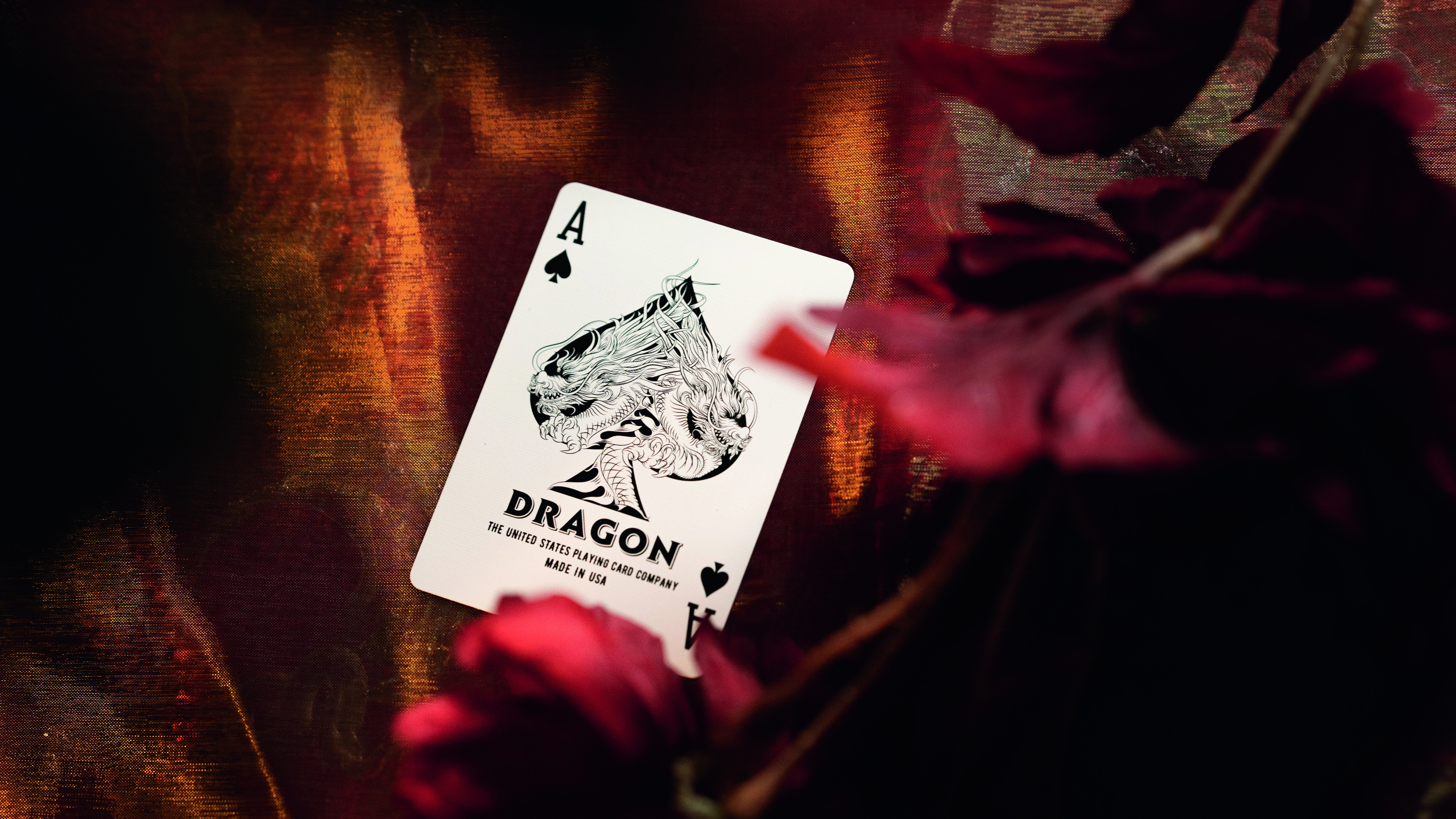 Bicycle Red Dragon
