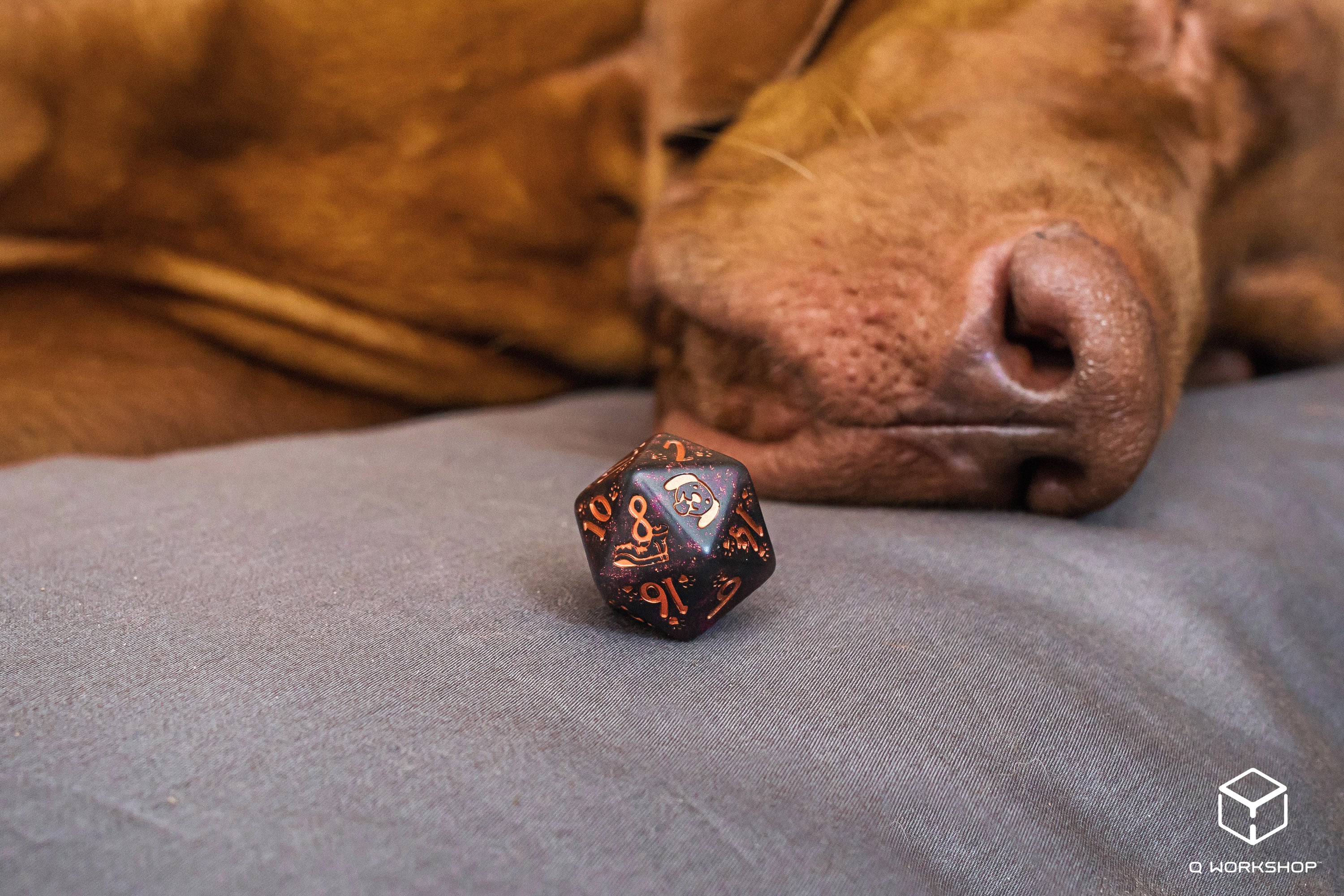 DOGS Dice Set: Luna (7)