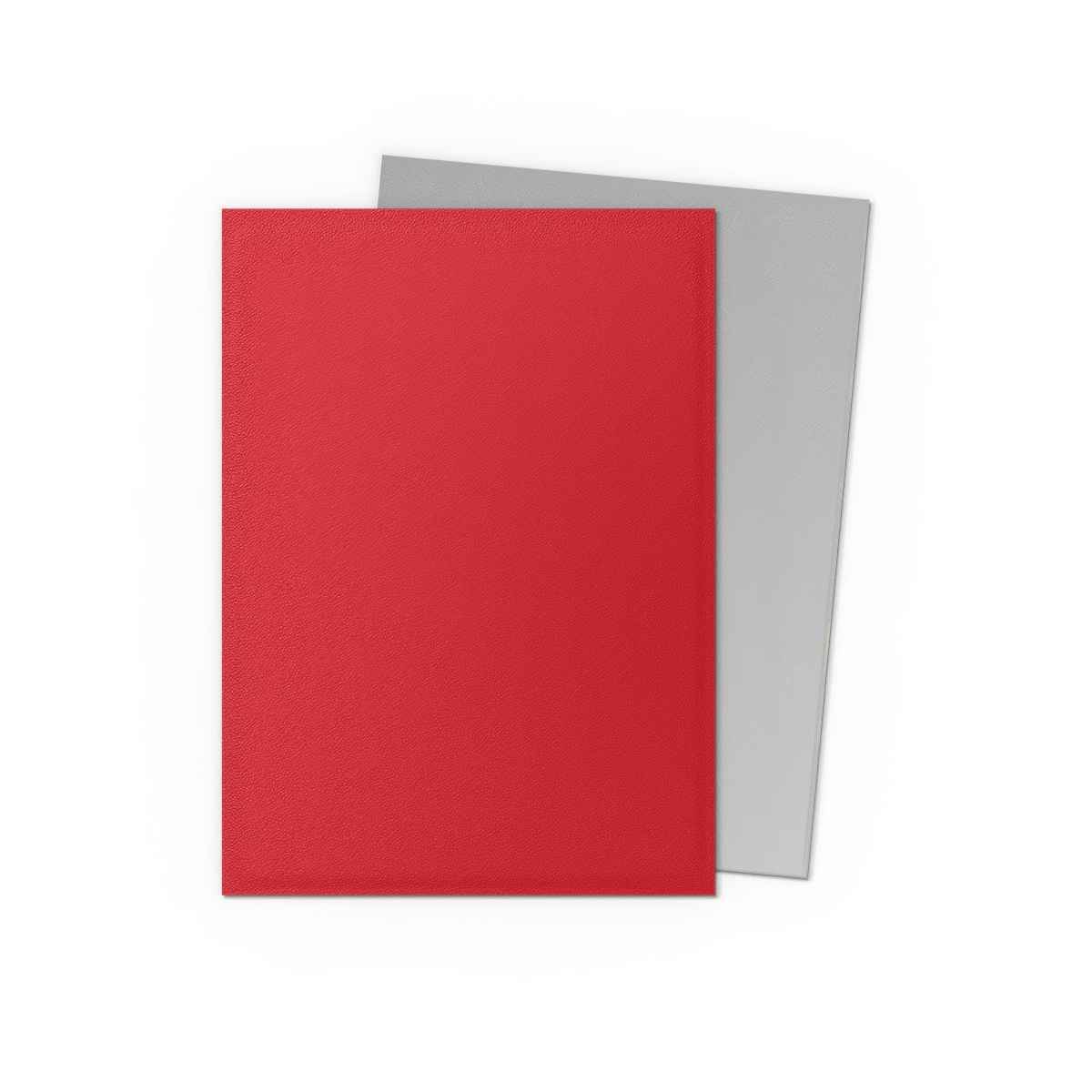 Dragon Shield: Matte – Dual Crimson & Silver(100)
