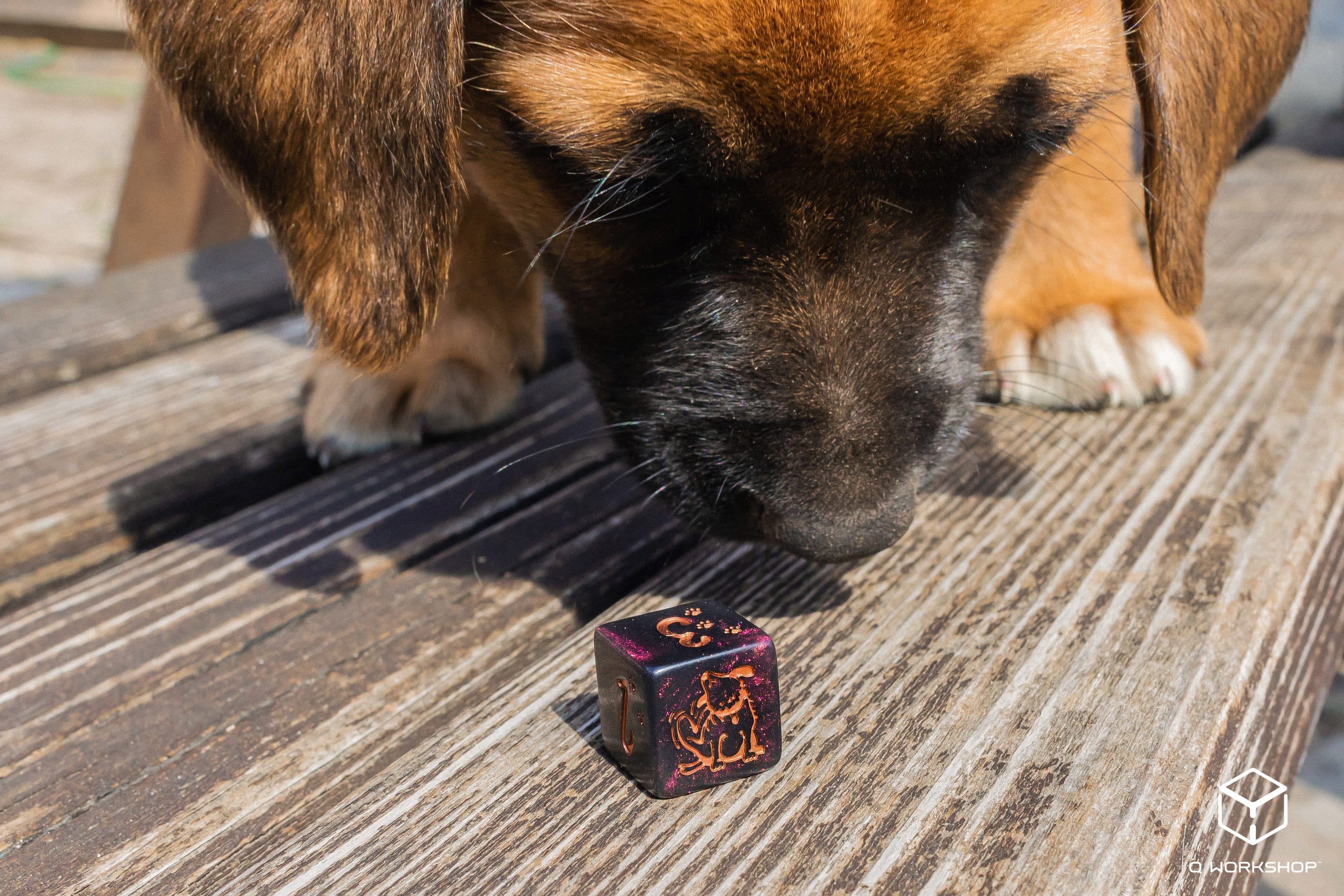 DOGS Dice Set: Luna (7)