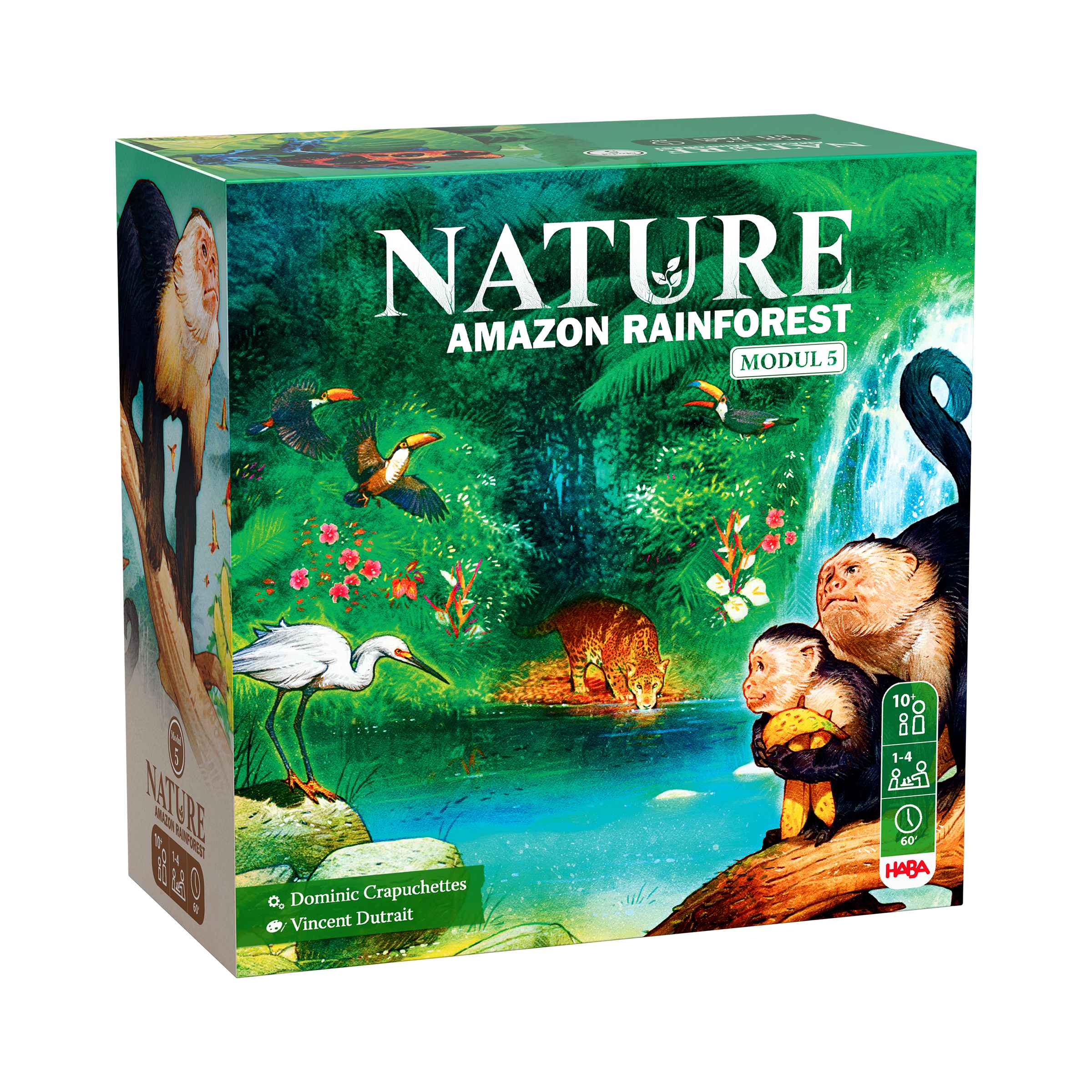 Nature Amazon Rainforest