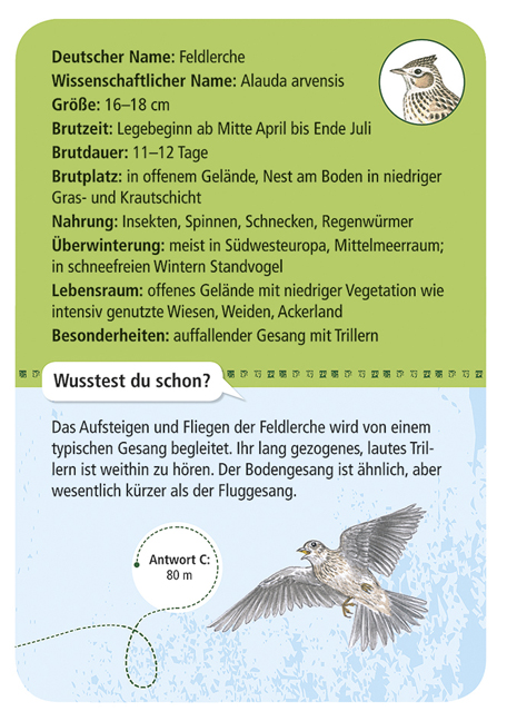 Expedition Natur – 50 heimische Vögel