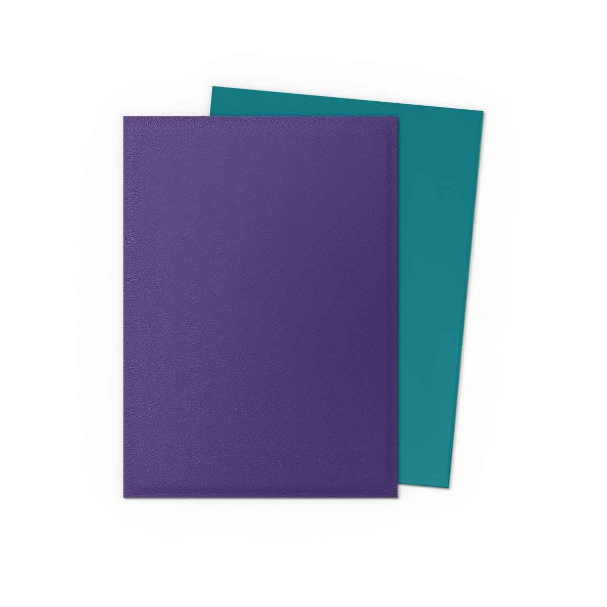 Dragon Shield: Matte Dual – Soul & Petrol
