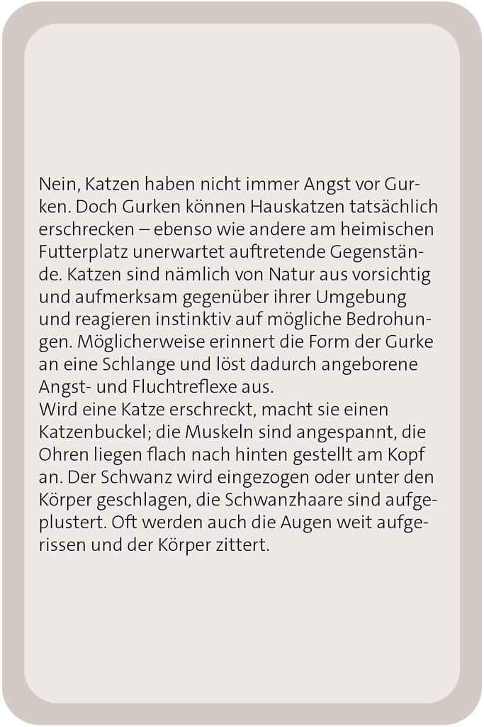 Das große Katzen Quiz