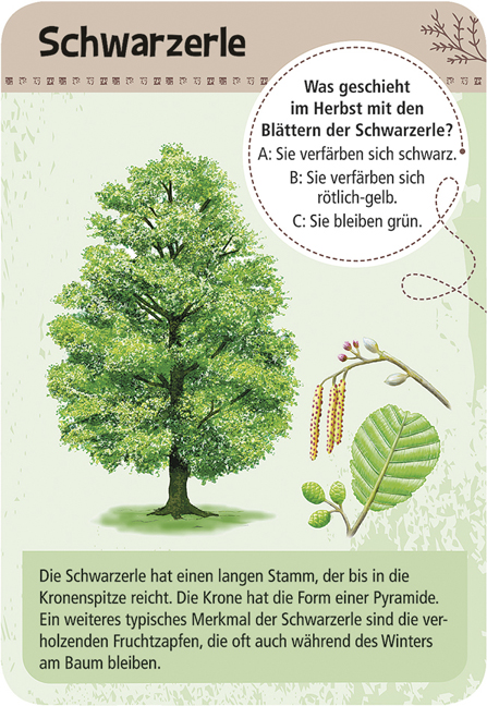 Expedition Natur – 50 heimische Bäume