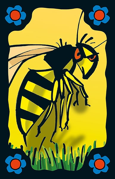 Schummel Hummel