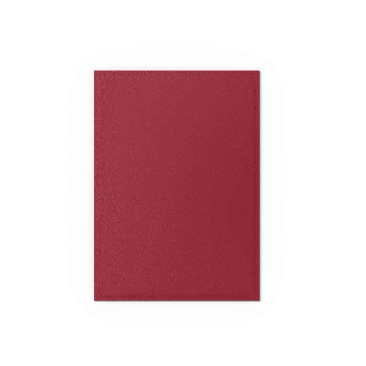 Dragon Shield: Matte – Blood Red , Non Glare V2 (100)