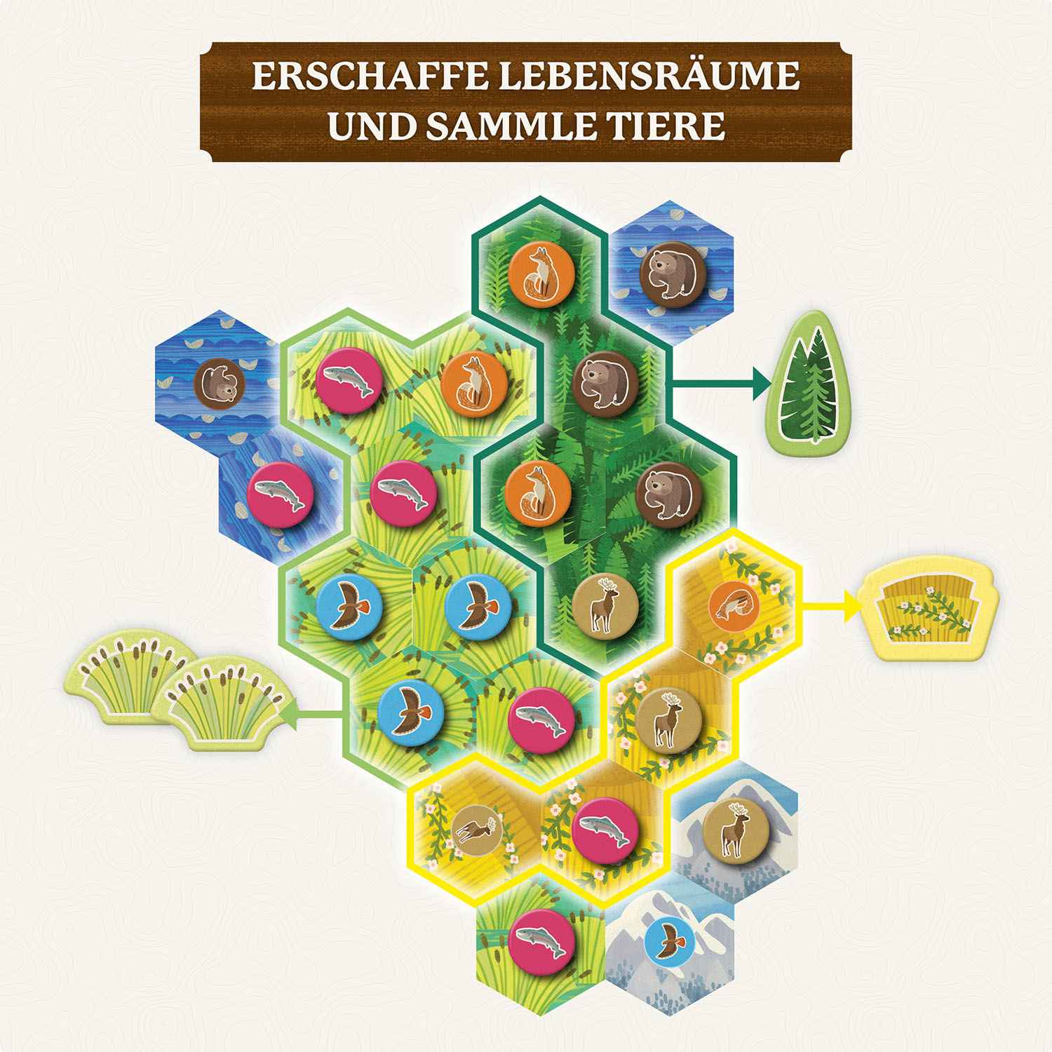 Cascadia – Junior *Nominiert Kinderspiel des Jahres 2025*