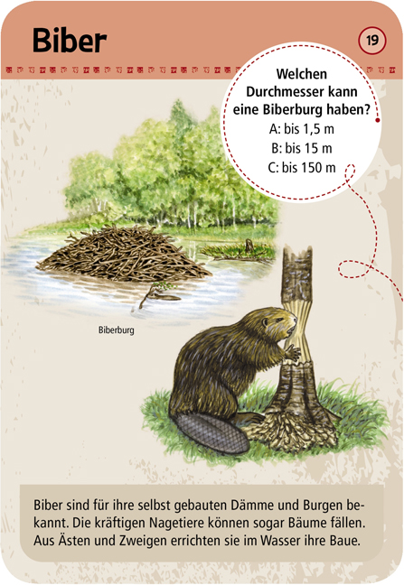 Expedition Natur – 50 Tierspuren