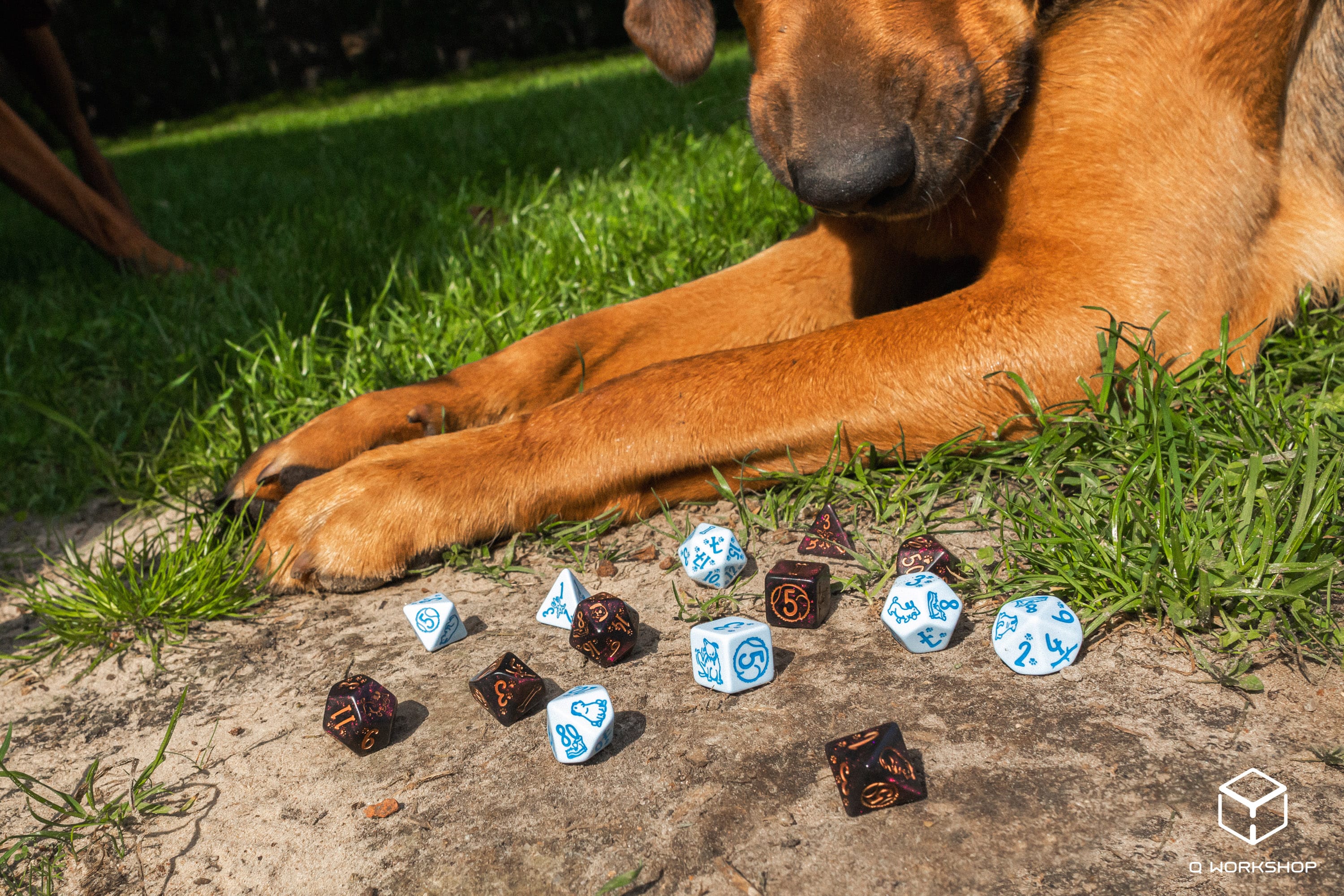 DOGS Dice Set: Luna (7)
