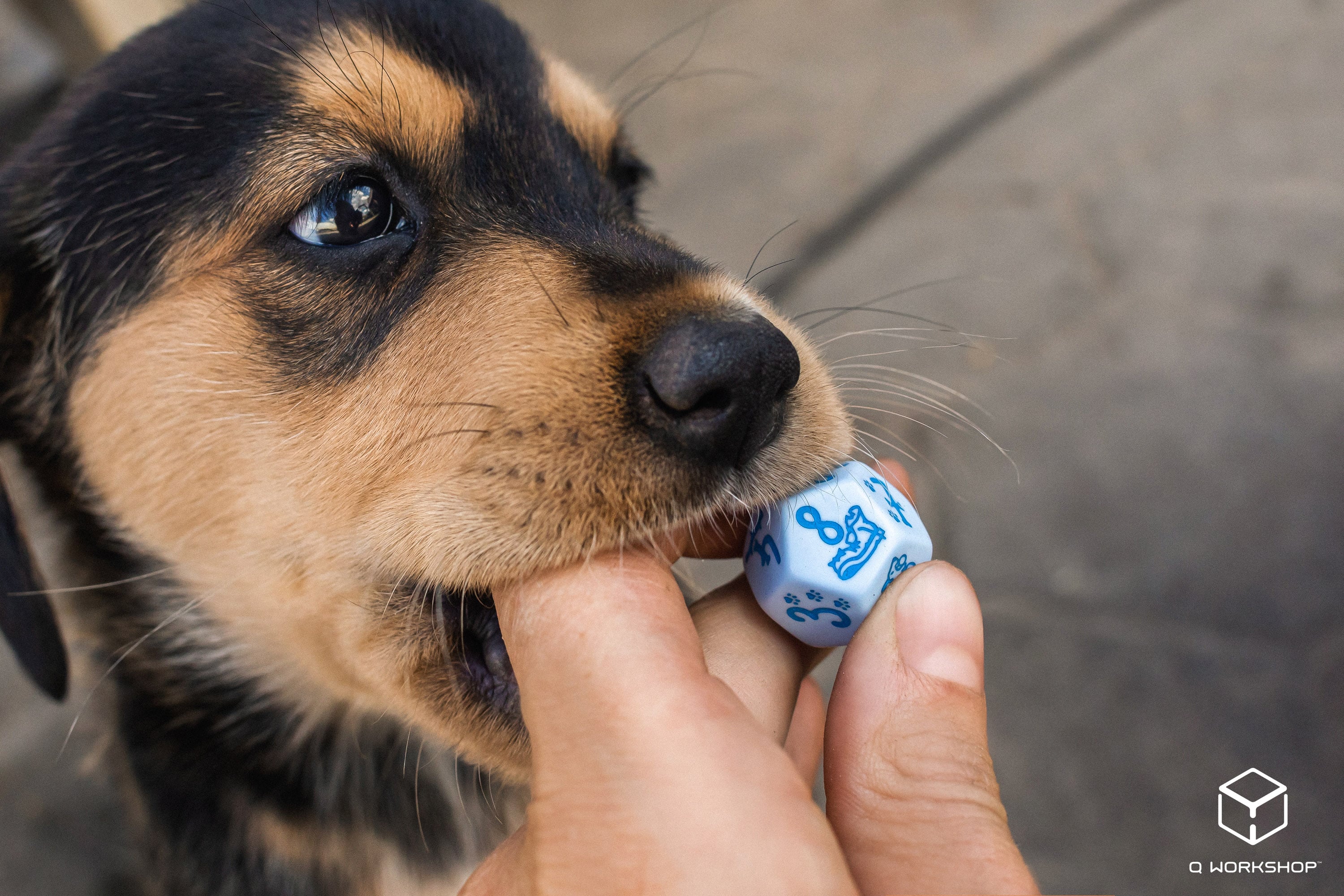 DOGS Dice Set: Max (7)