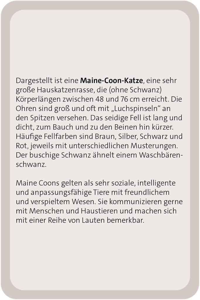 Das große Katzen Quiz