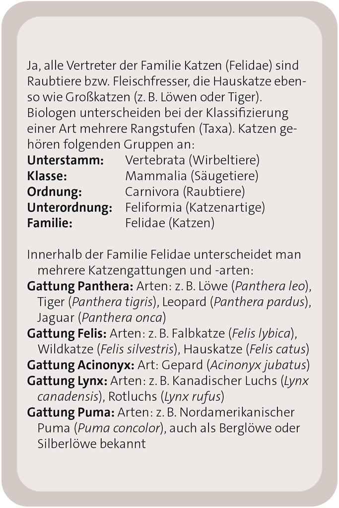Das große Katzen Quiz