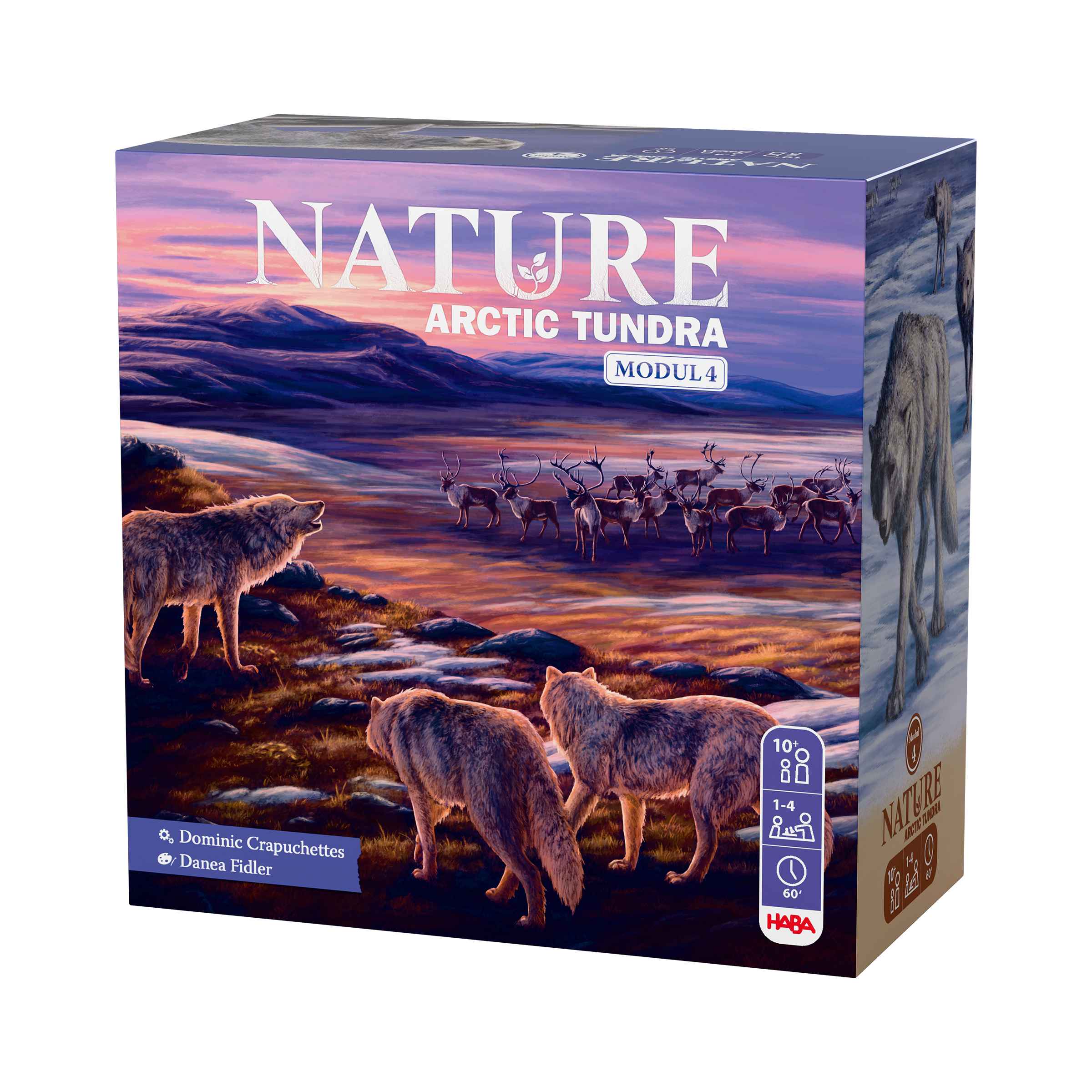 Nature Arctic Tundra