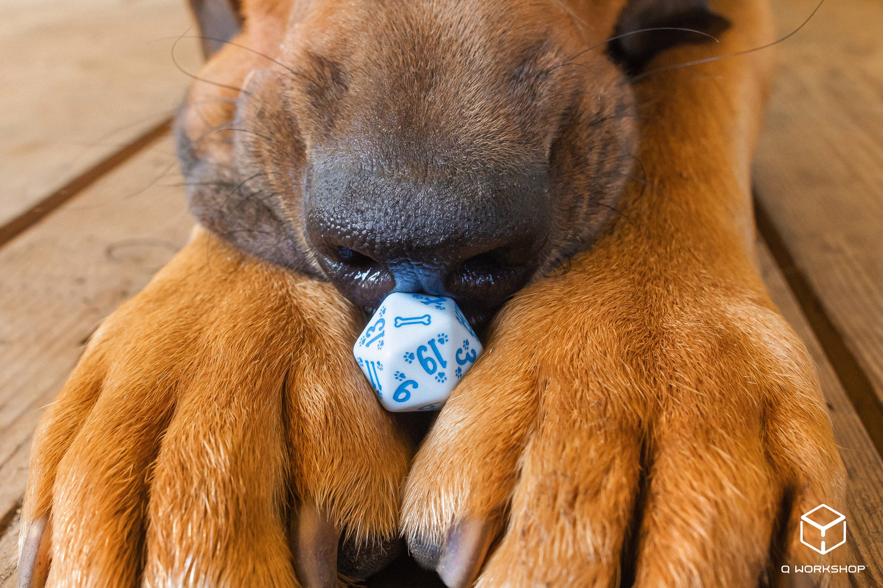 DOGS Dice Set: Max (7)