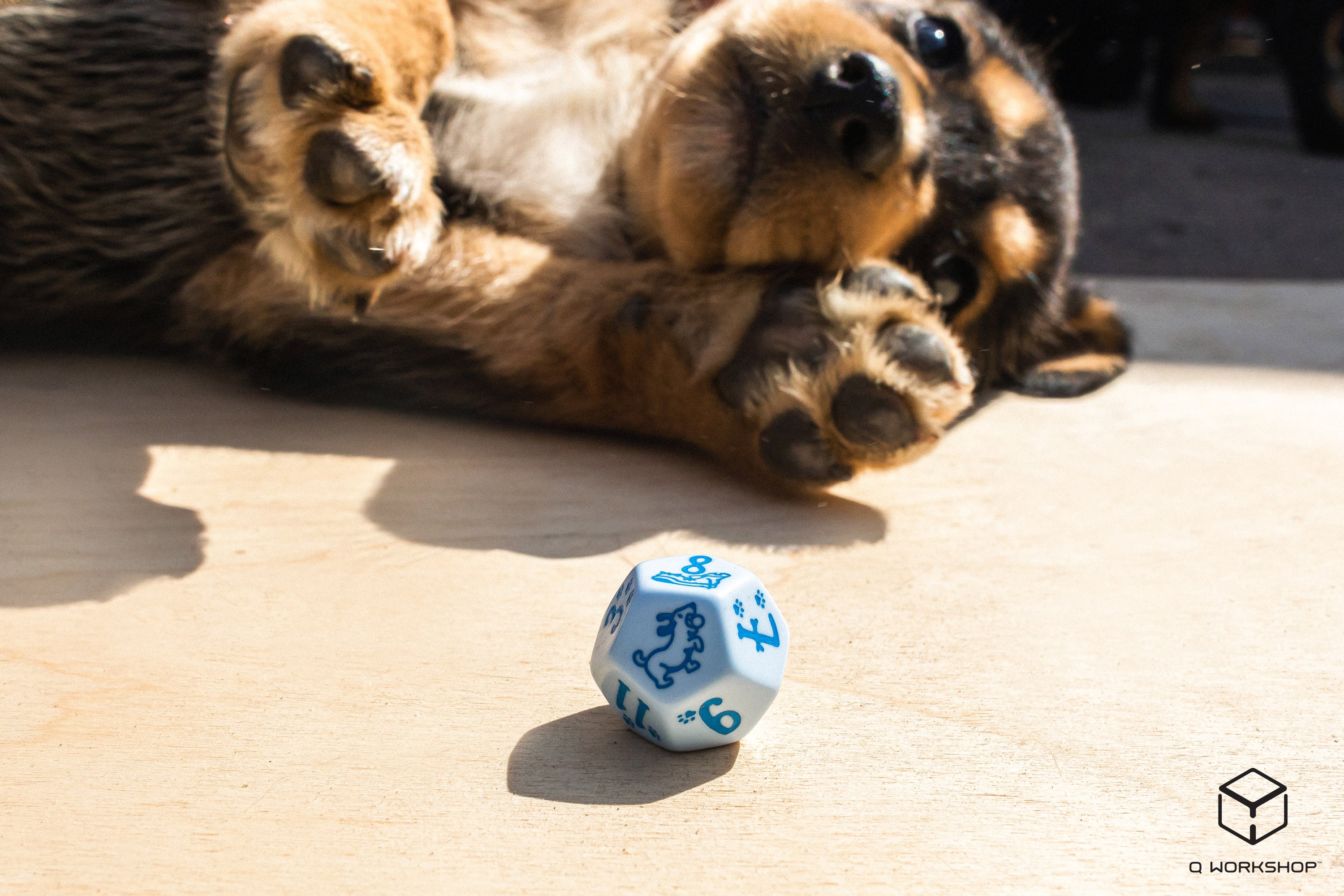 DOGS Dice Set: Max (7)