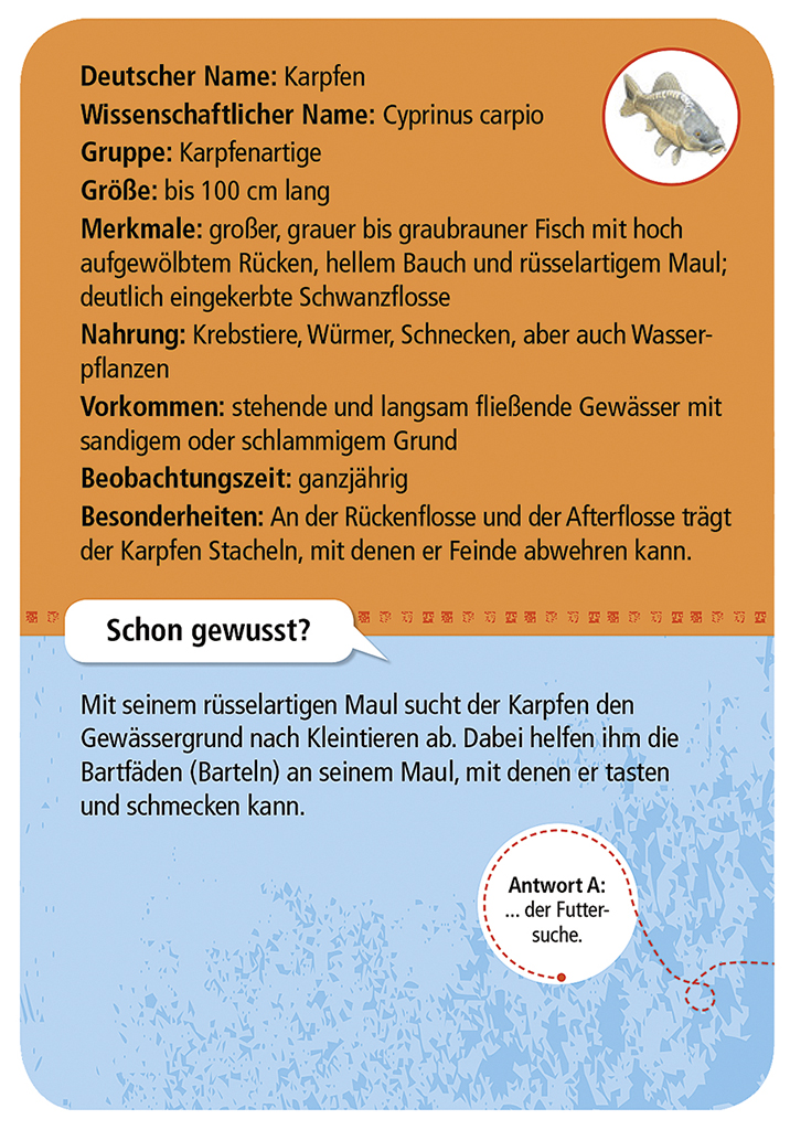 Expedition Natur – 50 heimische Tiere & Pflanzen am Bach & Teich