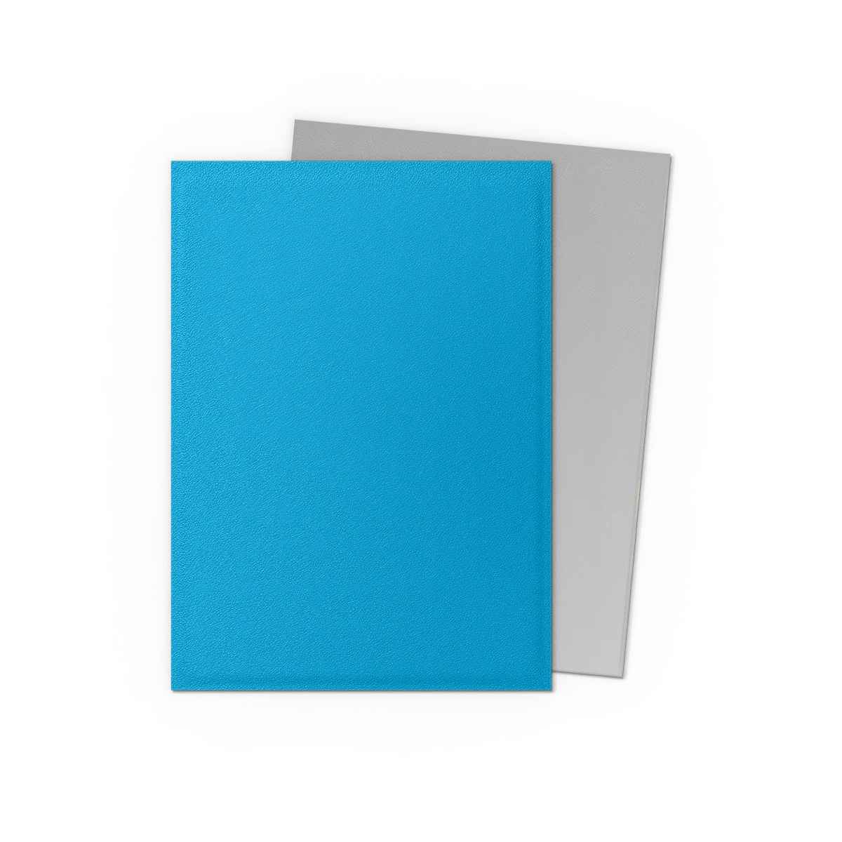 Dragon Shield: Matte – Dual Sky Blue & Silver(100)