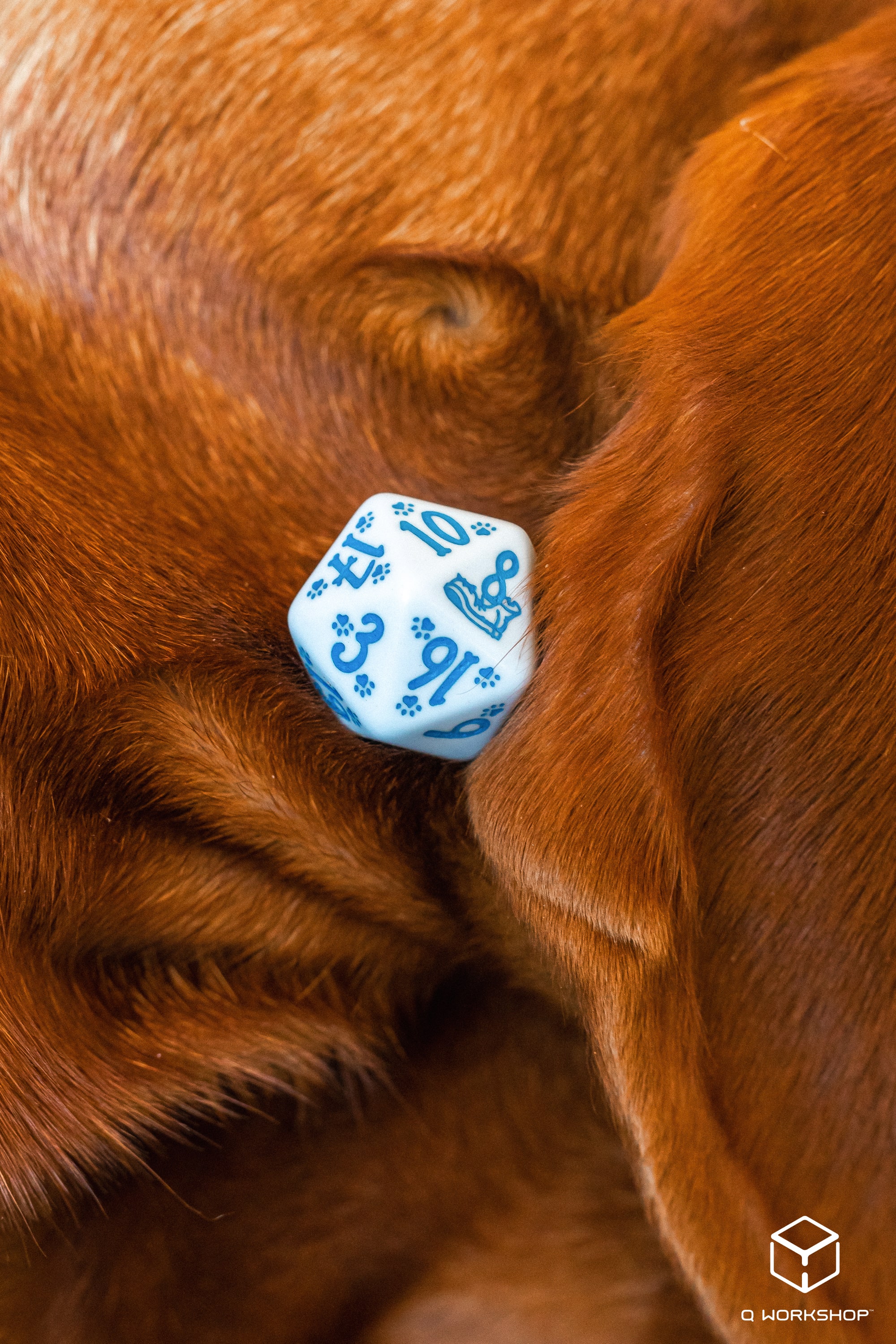 DOGS Dice Set: Max (7)