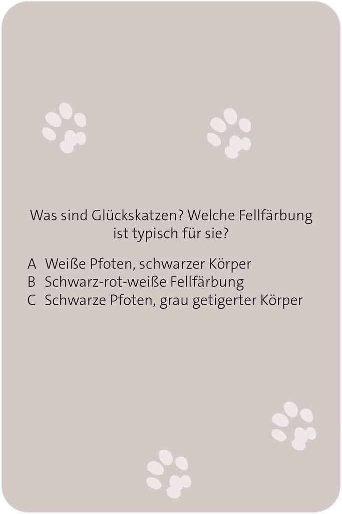 Das große Katzen Quiz