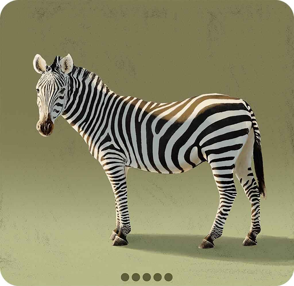 Blitz Zebra Astronaut