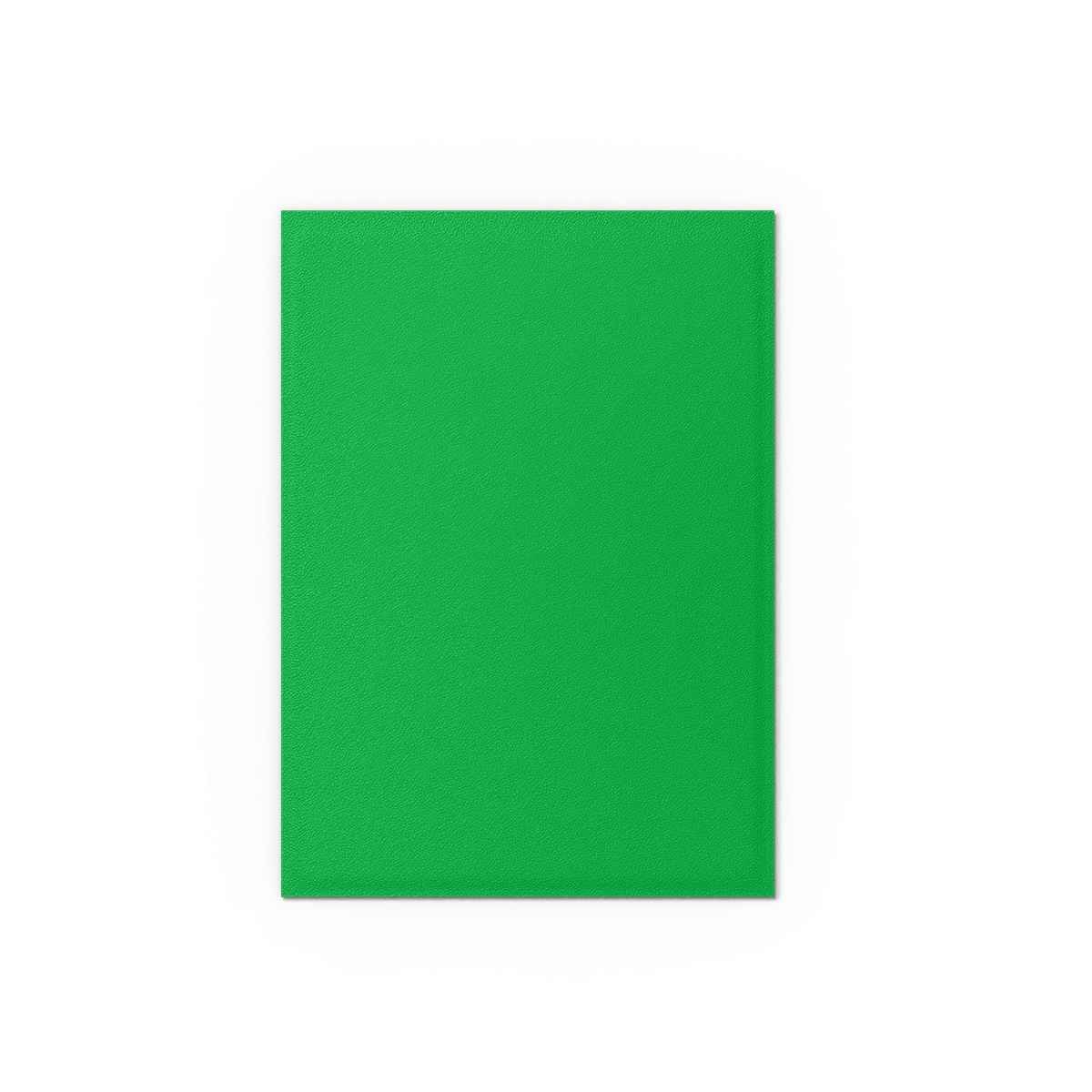 Dragon Shield: Matte – Dual Apple Green & Silver(100)