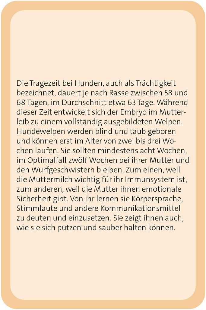 Das große Hund Quiz