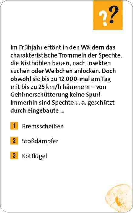 Quizzen & Wissen: Alltagsrätsel