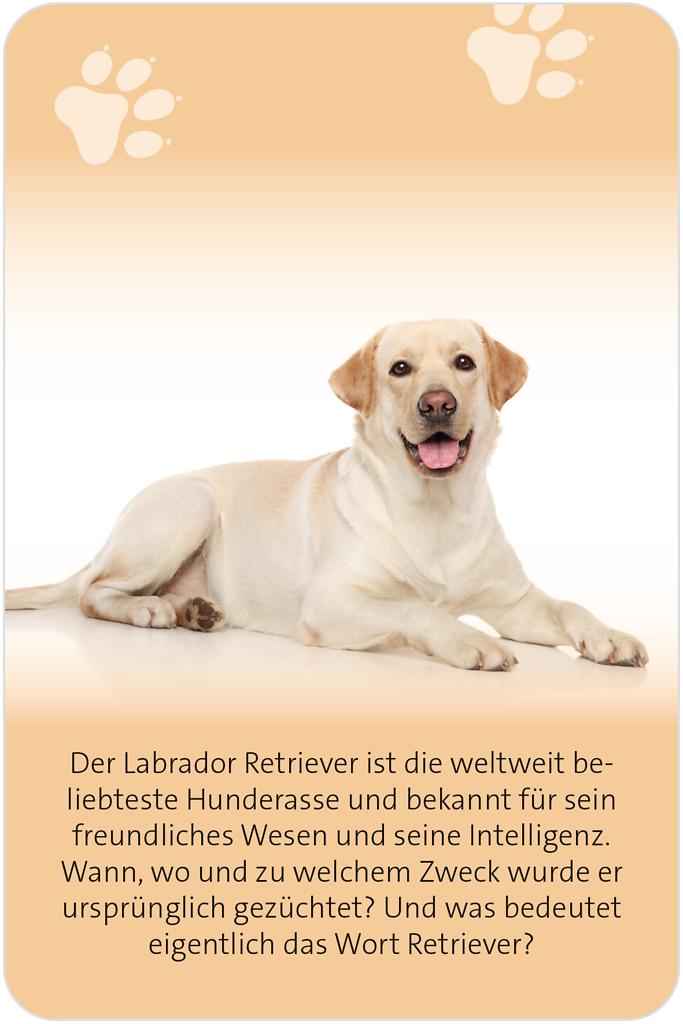 Das große Hund Quiz