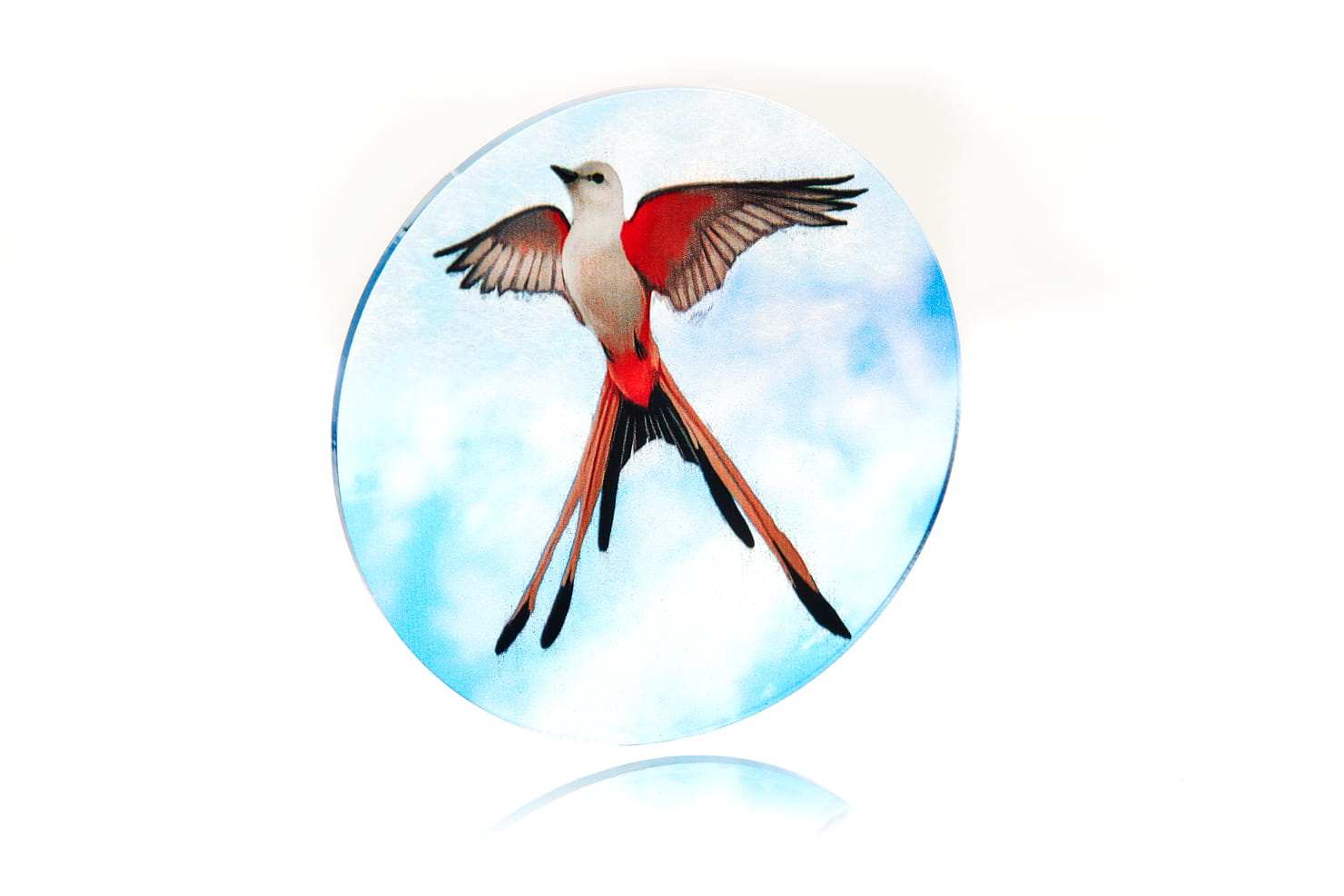 Token and Markers: Wingspan + expansions Token Set