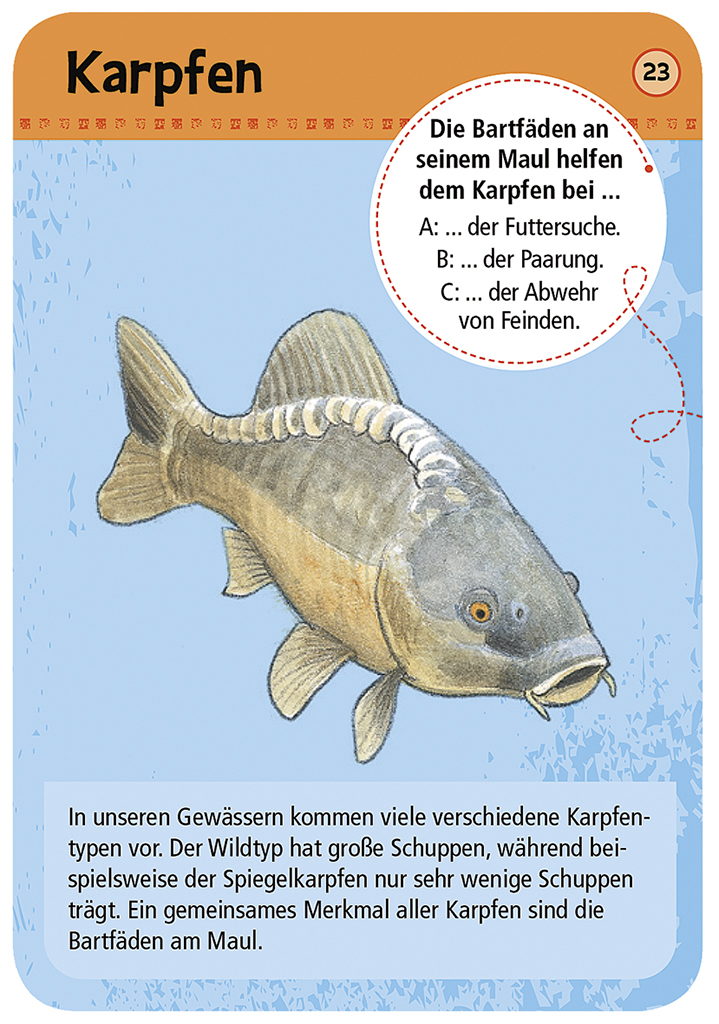Expedition Natur – 50 heimische Tiere & Pflanzen am Bach & Teich