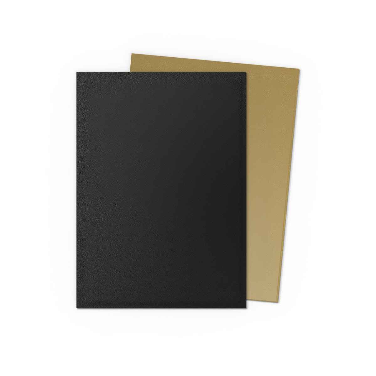 Dragon Shield: Matte Dual – Black & Gold