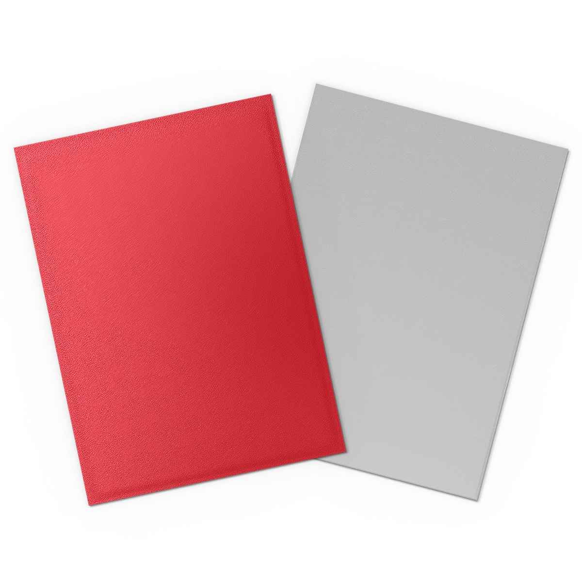 Dragon Shield: Matte – Dual Crimson & Silver(100)