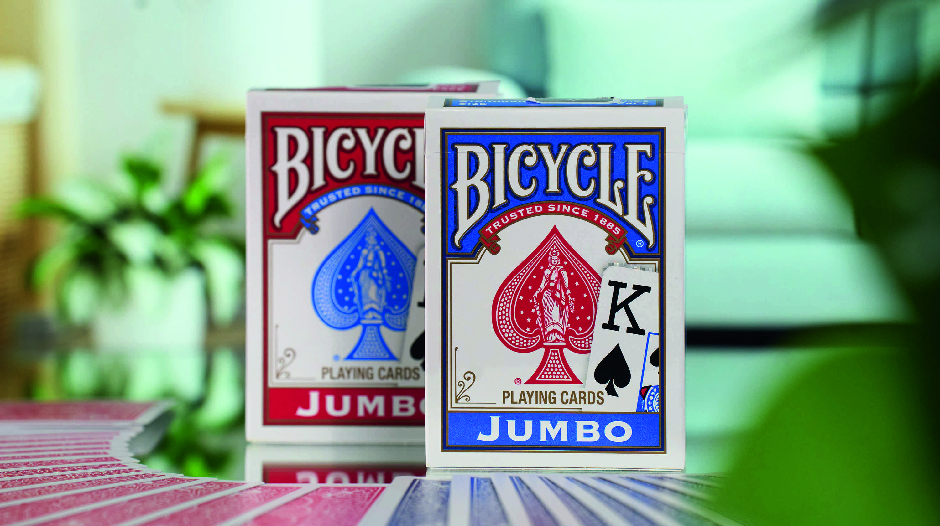 Bicycle Rider Back Jumbo Index