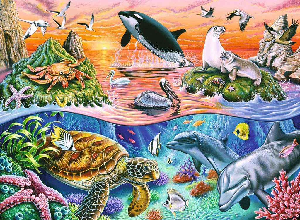 Puzzle: Bunter Ozean (100 XXL Teile )