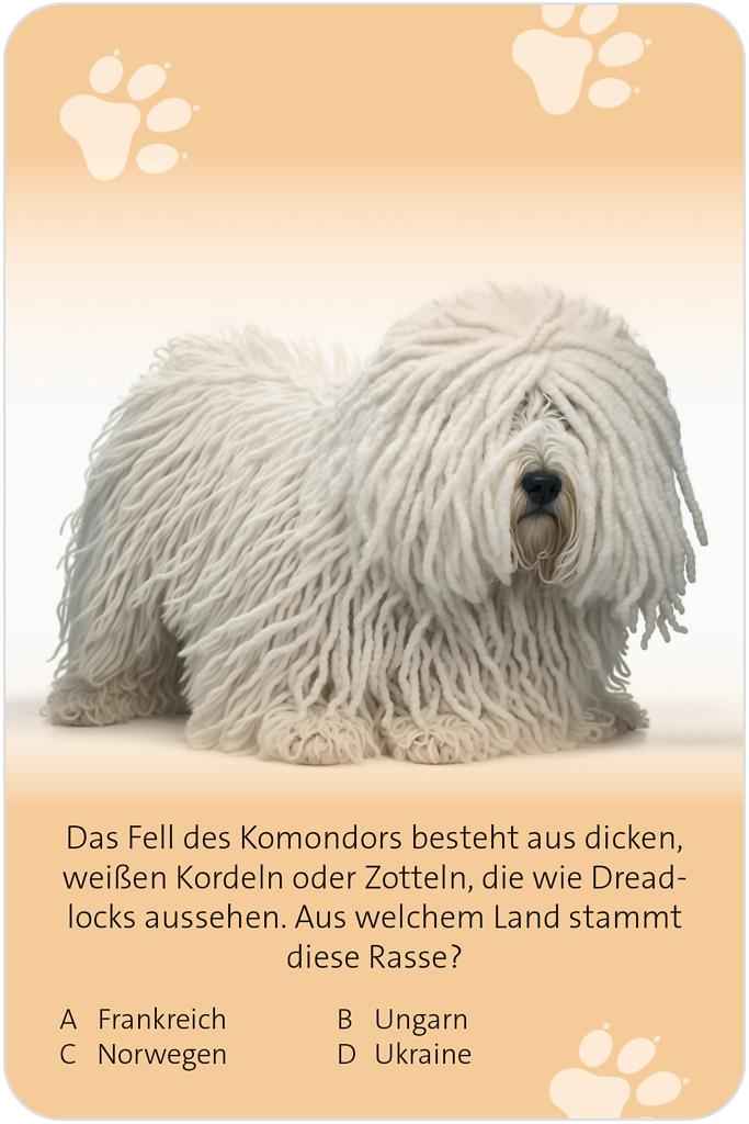 Das große Hund Quiz