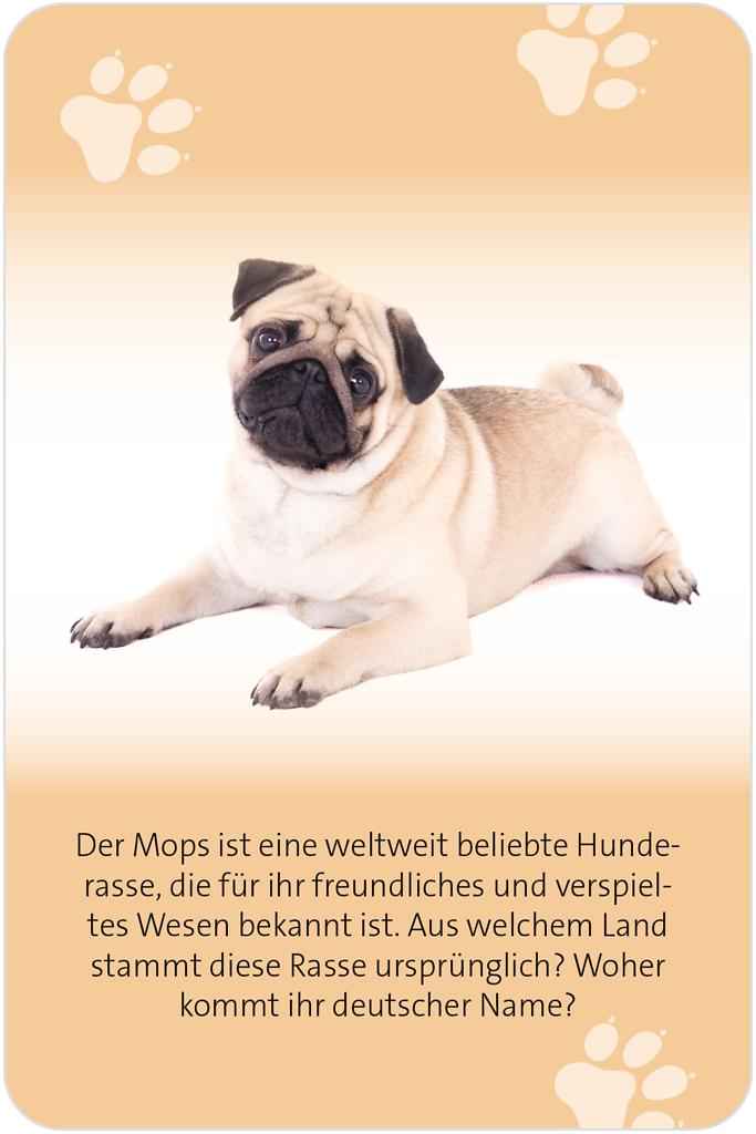 Das große Hund Quiz