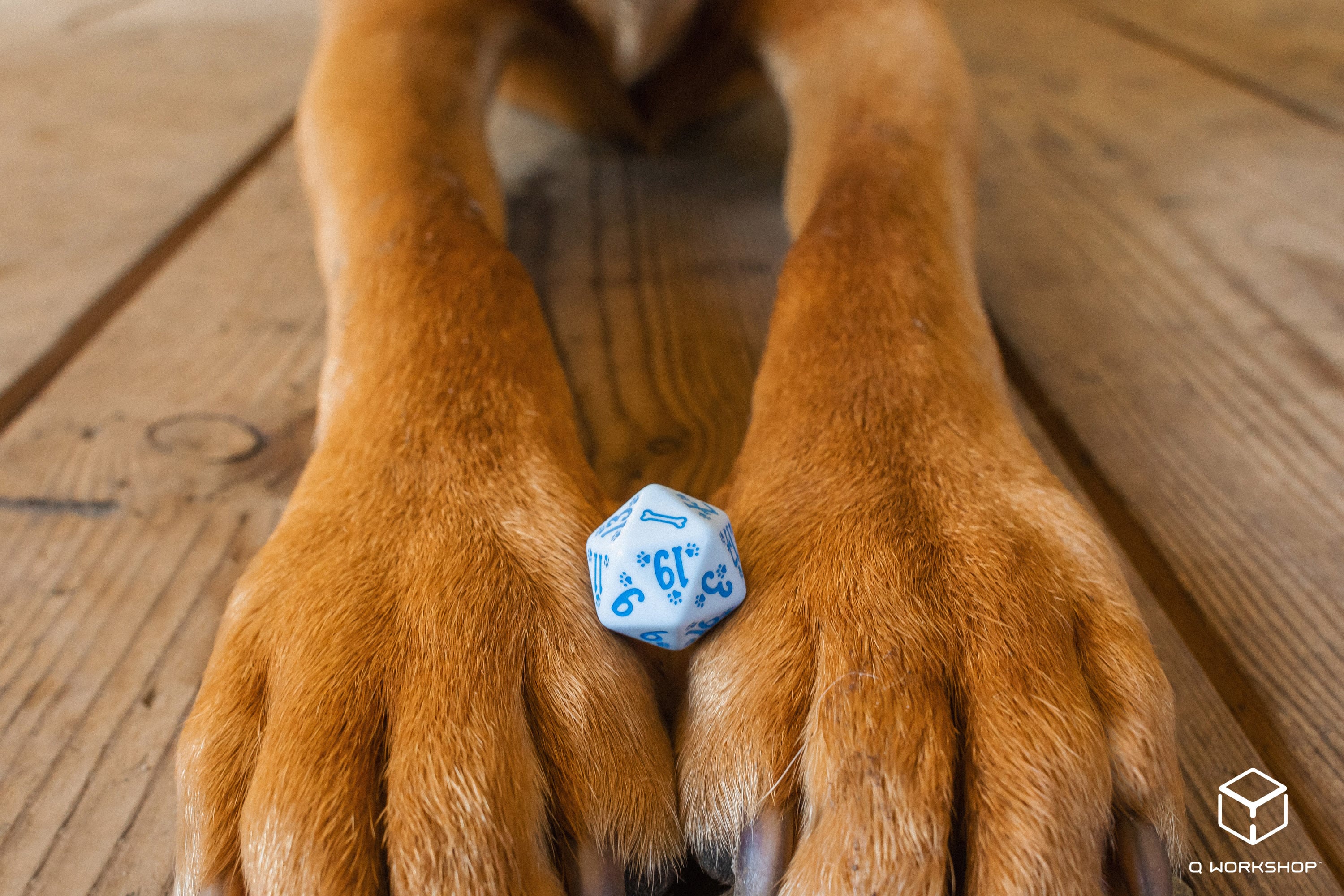 DOGS Dice Set: Max (7)
