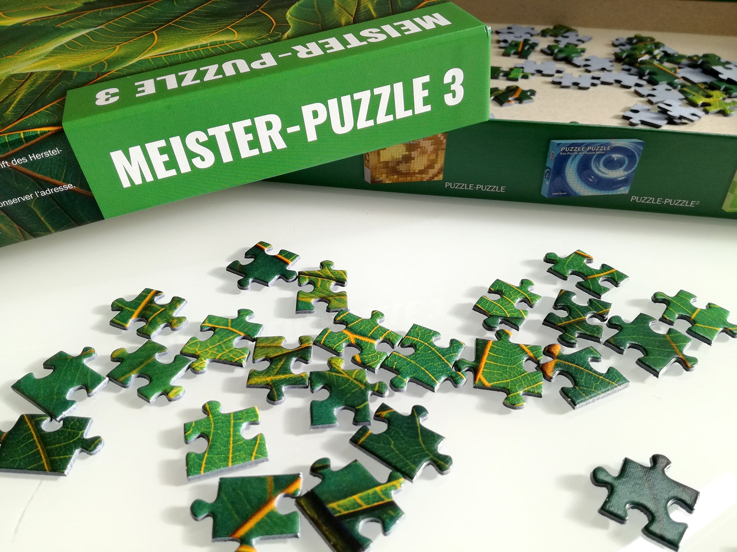 MEISTER-PUZZLE 3 – Blätter (500 Teile)
