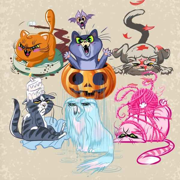 Katz Fatz